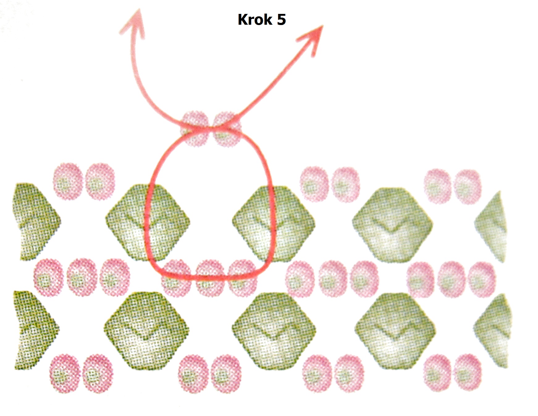 Krok 5 - obšitá Rivoli Swarovski - návod